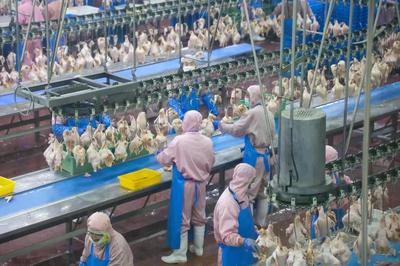 乳山預(yù)制菜企業(yè)實(shí)現(xiàn)年銷售額近10億元，飼料原料銷售雙輪驅(qū)動(dòng)