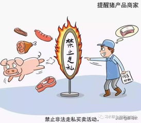 習(xí)水豬肉放心購，飼料原料供應(yīng)穩(wěn)——解析非洲豬瘟防控下的市場(chǎng)保障